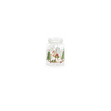 Frasco de Biscoitos com Caixa  11,60 X 16 cm    1300ml
