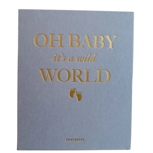 Álbum de fotografia